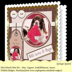 Mix'n'match Mini Kit - Springer Spaniel