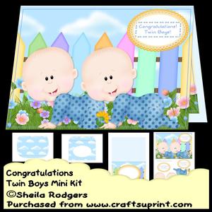 Congratulations Twin Boys Mini Kit
