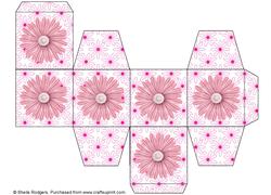All in One Gift Box - Pink Daisy Flowers