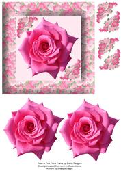 Rose in Pink Floral Frame