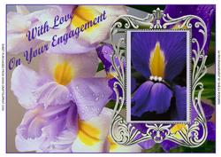 A4 Iris Engagement