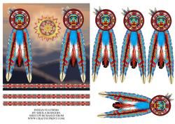 Indian Feathers