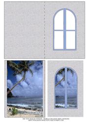The View from My Window - Tropical Beach