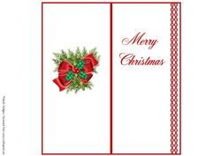 Dl Insert - Christmas 15