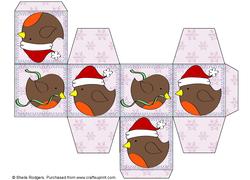 All in One Gift Box - Christmas Robins