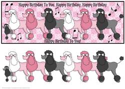 Large Dl Card - Poodles