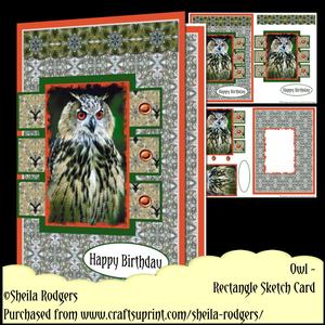 Rectangle Sketch Card - Owl