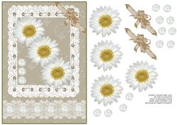 Pearls, Daisies and Lace