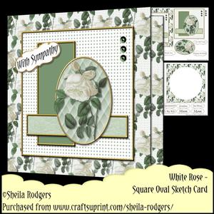 Square Oval Sketch Card - White Rose