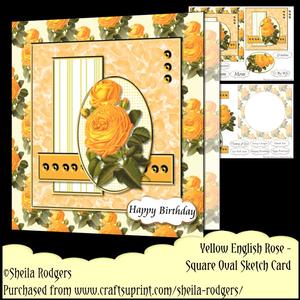 Square Oval Sketch Card - Yellow English Rose