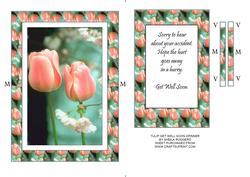 Tulip Get Well Soon Spinner