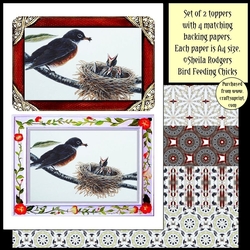 Topper Kit - Bird Feeding Chicks