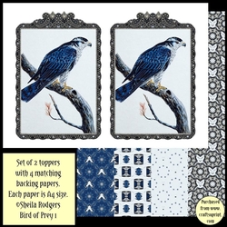 Topper Kit - Bird of Prey 1
