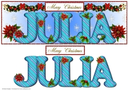 Large DL Poinsettia - JULIA