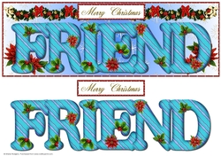 Large DL Poinsettia - FRIEND