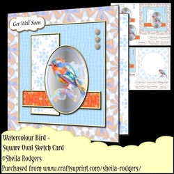 Square Oval Sketch Card - Watercolour Bird