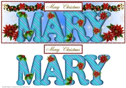 Large DL Poinsettia - MARY