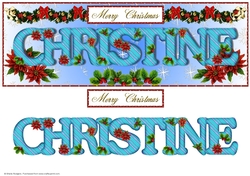 Large DL Poinsettia - CHRISTINE