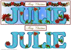 Large DL Poinsettia - JULIE