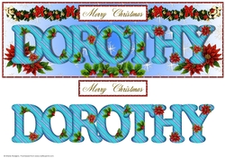 Large DL Poinsettia - DOROTHY
