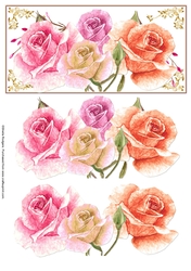 Summer Roses on DL Topper