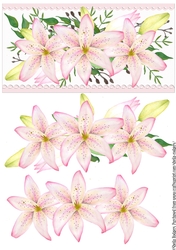 Pink Lilies Scallop Borders
