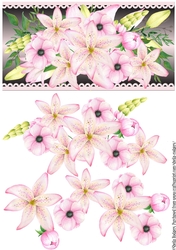 Pink Lilies and Peonies on Black