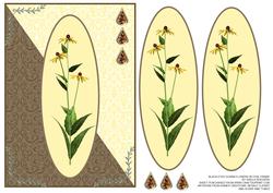 Black Eyed Susan Flowers in Oval Frame on Brocade