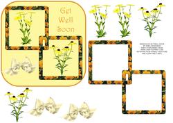 Marigolds Get Well Soon