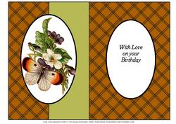 Oval Fold Back Butterfly 1