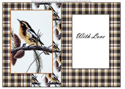 Bird with Fir Cones