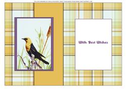 Yellow Songbird