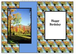 Autumn Trees