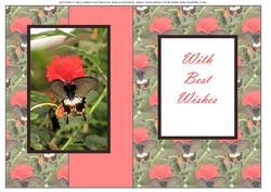 Butterfly on Flower Fold Back