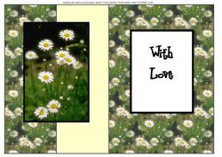 Daisies
