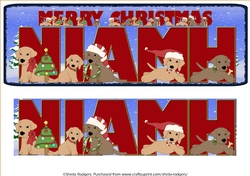 CHRISTMAS LABS - NIAMH