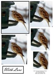 Bird on Feeder Twisted Pyramid