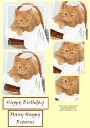 Ginger Cat Twisted Pyramid