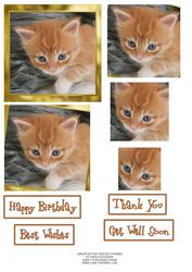Ginger Kitten Twisted Pyramid