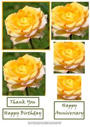Yellow Rose Twisted Pyramid