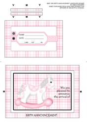 Baby Girl Birth Announcement Landscape Spinner