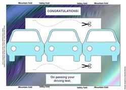Male Driving Test Tri Shutter Card