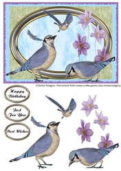 Blue Jays