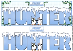 SNOW CAPPED NAMES - HUNTER