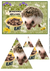 HEDGEHOGS WELCOME