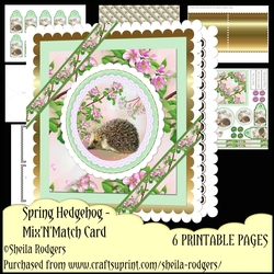 Spring Hedgehog - MixnMatch Card