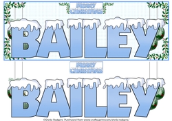 SNOW CAPPED NAMES - BAILEY