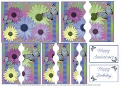 Daisies and Butterflies