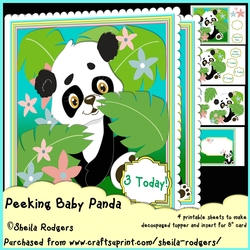 Peeking Baby Panda
