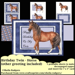 BIRTHDAY TWIN - HORSE